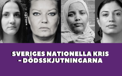 Samtal: Sveriges nationella kris – hur kan vi påverka politiken?